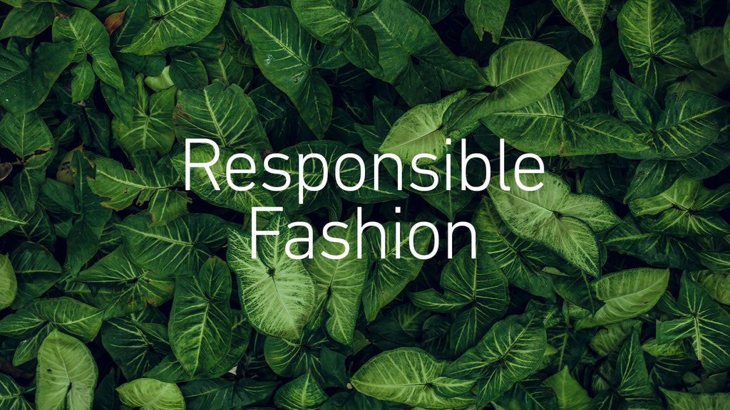 Innovazione sostenibile dello streetwear: Fashion responsabile